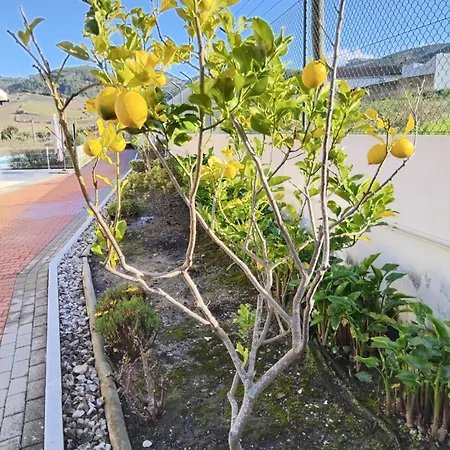 别墅 Familia Antonio Standen