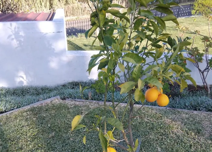 Familia Antonio Standen