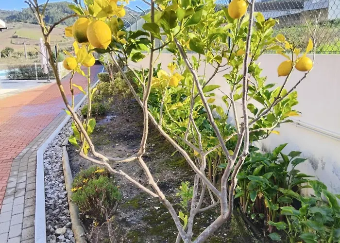 Villa Familia Antonio Standen